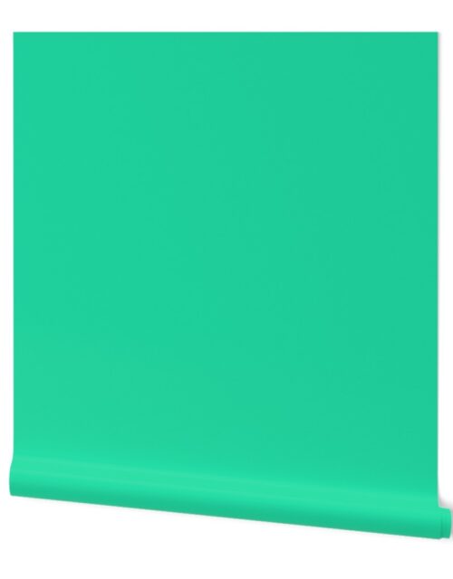 Sweetmint Green Solid Summer Party Color Wallpaper