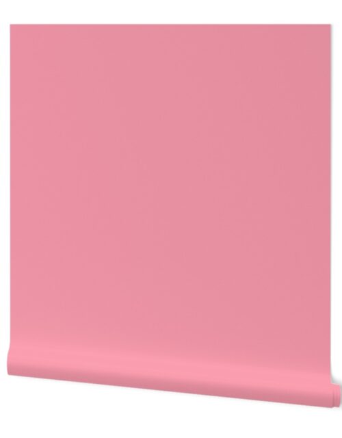 Pink Petal Solid Summer Party Color Wallpaper