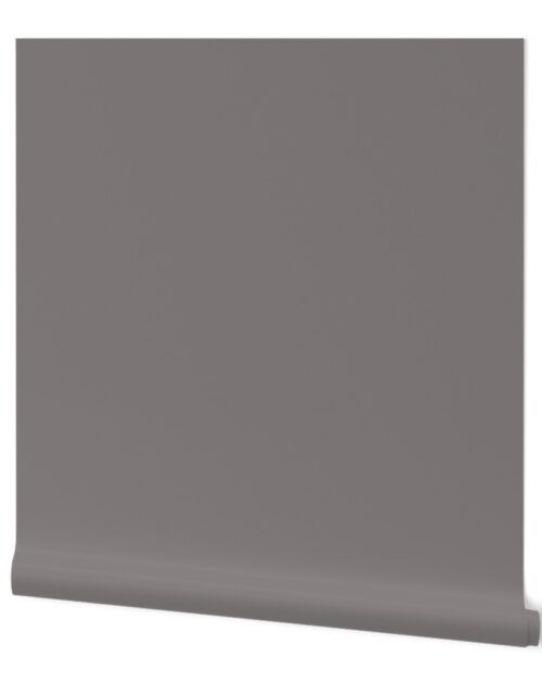 Grey Dovecote Solid Summer Party Color Wallpaper
