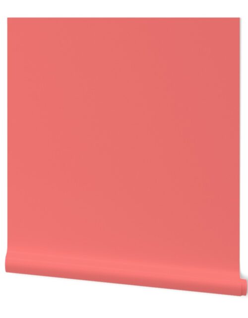 Coral Rose Solid Summer Party Color Wallpaper