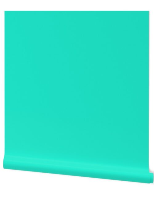 Aqua Gift Box Solid Summer Party Color Wallpaper