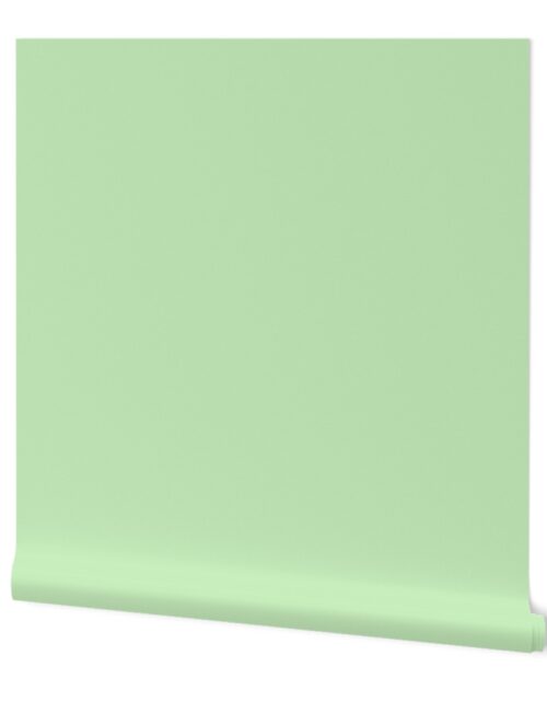 Spearmint Mint Solid Summer Party Color Wallpaper