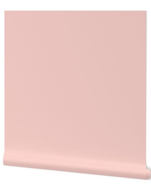 Pink Rosebud Solid Summer Party Color Wallpaper