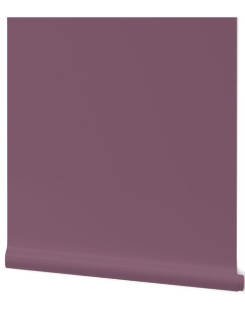 Grapeade Purple Solid Color Trend Autumn Winter 2019 2020 Wallpaper