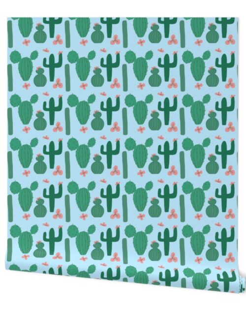 Green Cactus on Pale Blue with Pink Cactus Flowers Wallpaper