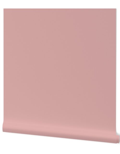 Ice Cream Pink Solid Color Wallpaper
