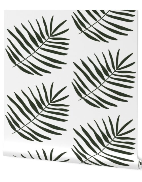 Dark Green Tropical Palm Fan Leaf Wallpaper