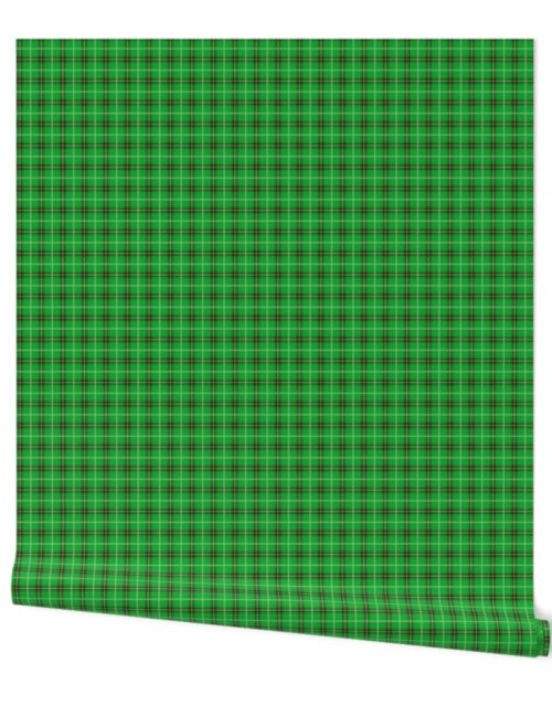 Christmas Holly Green and Evergreen Tartan with Red and White Lines Wallpaper