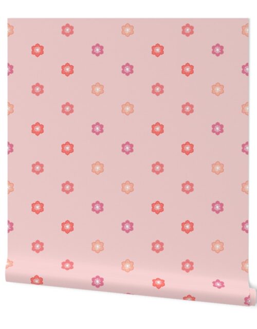 Japanese Cherry Blossoms on Shell Pink Wallpaper