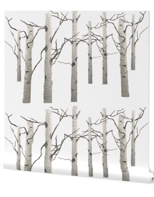 White Birch Forest Tree Trunks in Grey and White Wallpaper