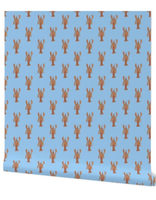 Big Maine Lobsters on Blue Wallpaper