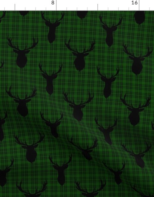 Black Buck Deer Trophy Heads with Antler Racks Mounted on Green and Black Tartan Fabric