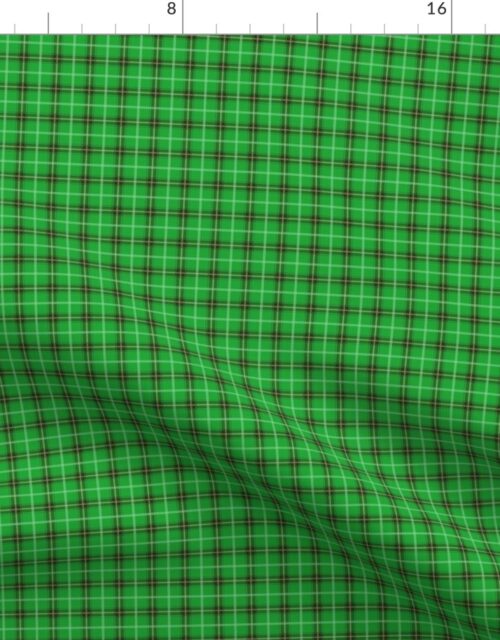 Christmas Holly Green and Evergreen Fabric