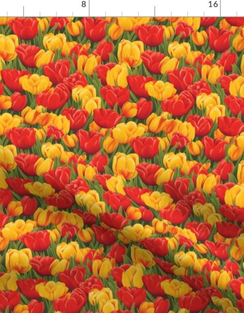 Field of Dutch Yellow and Red Tulips in Bloom Fabric