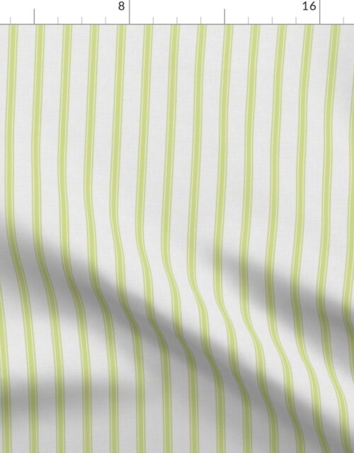 Medium  New Green on Off-White French Provincial Mattress Ticking Fabric