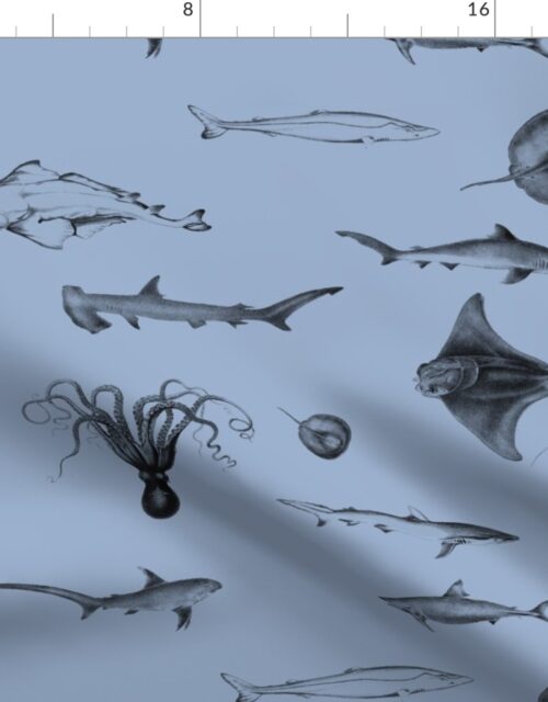 Sharks, Rays, Cephalopods and Squid in Grey Pencil  on Blue Fabric