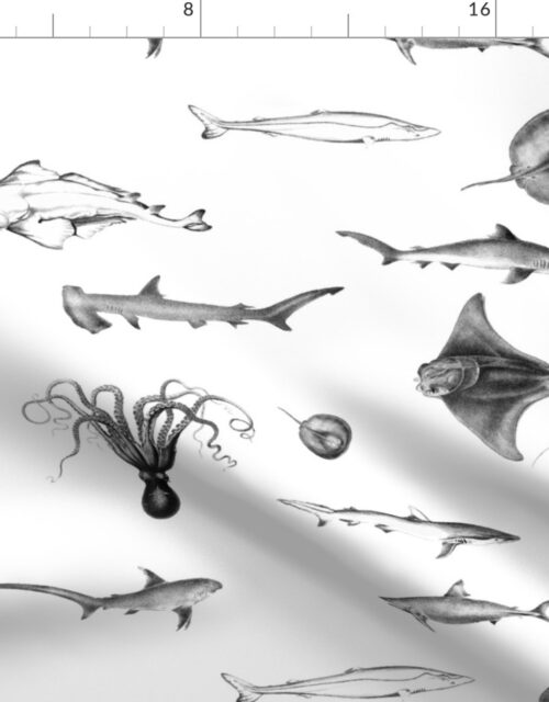Sharks, Rays, Cephalopods and Squid in Grey Pencil  on White Fabric