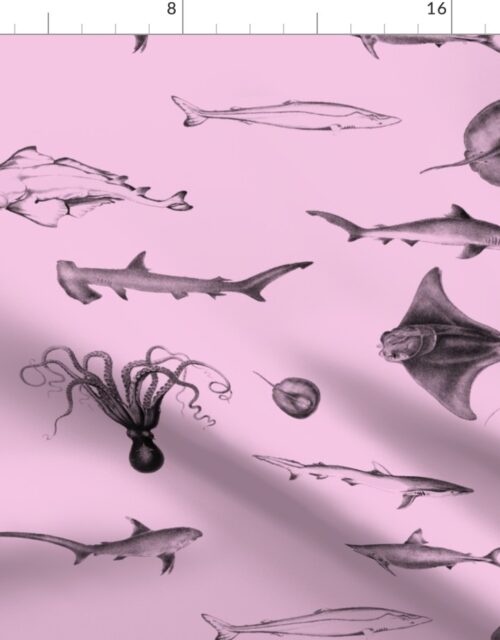 Sharks, Rays, Cephalopods and Squid in Grey Pencil on Pink Fabric