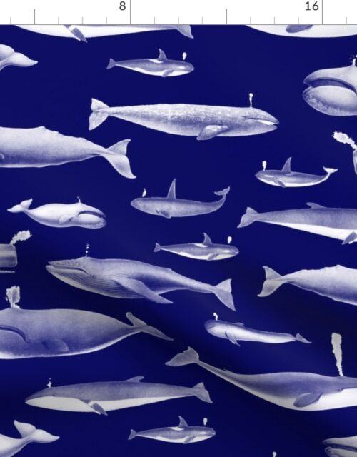 Smaller Whales Species Cetacea Mammals in White Pencil on White on Dark Blue Fabric
