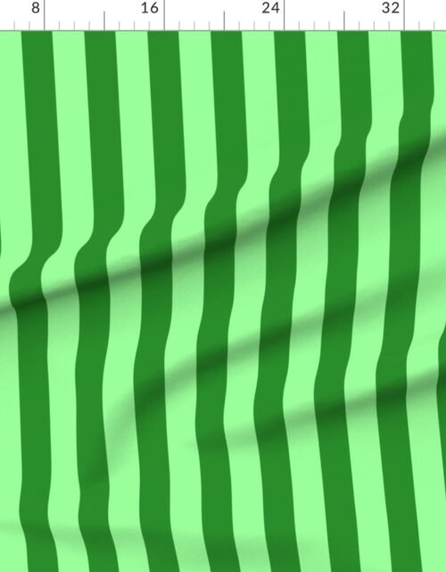 Bold Coastal Classic Mint Green and Forest Green Cabana Tent Stripe